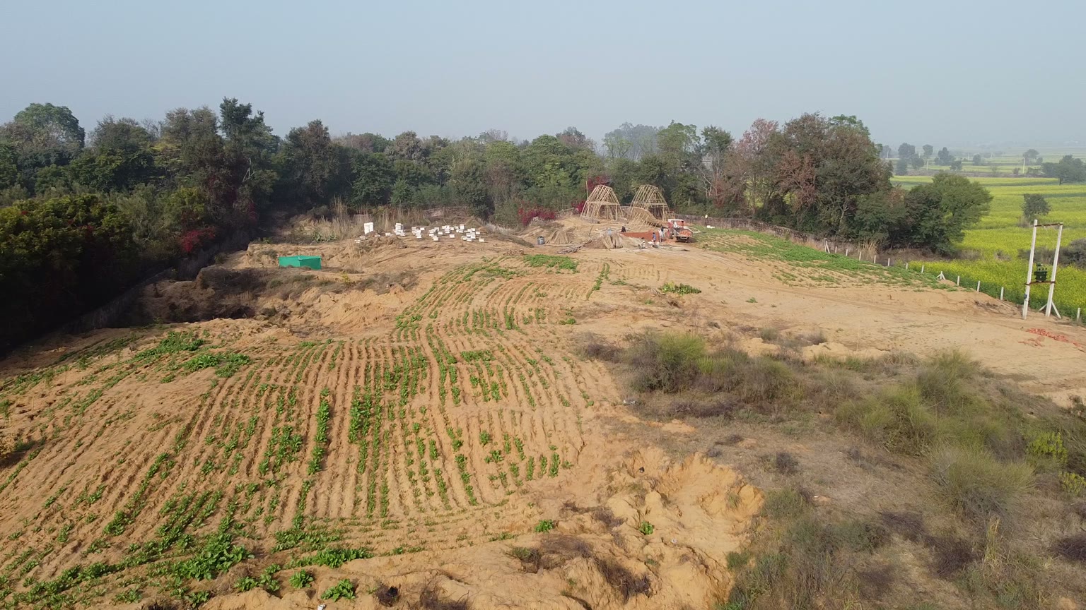 The farm from the air: bare orange ground with young planted rows across it, two thatched structures at the far edge, green fields beyond