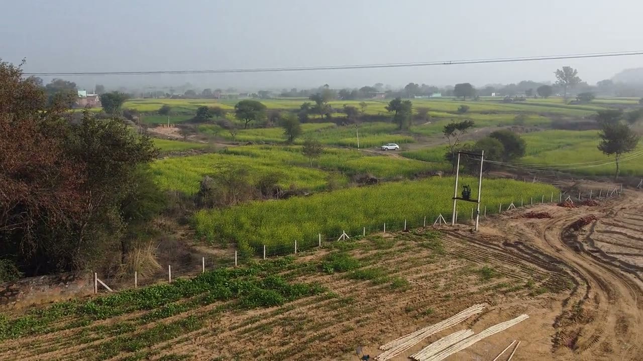 The farm from the air in January 2022: bare ploughed ground in the foreground, bright mustard fields and a track beyond, hills on the horizon
