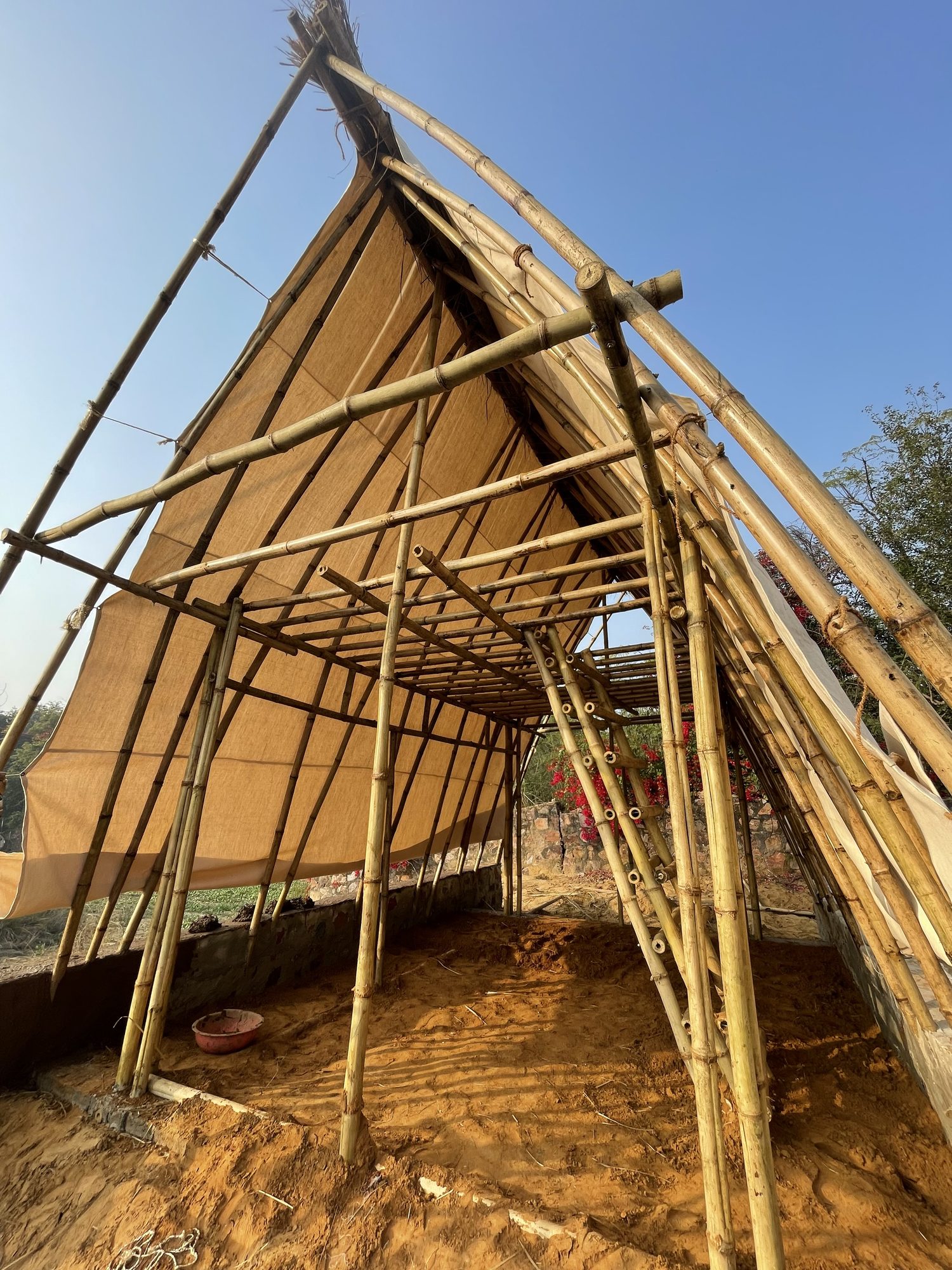 A bare bamboo A-frame standing on orange earth, poles meeting at a ridge