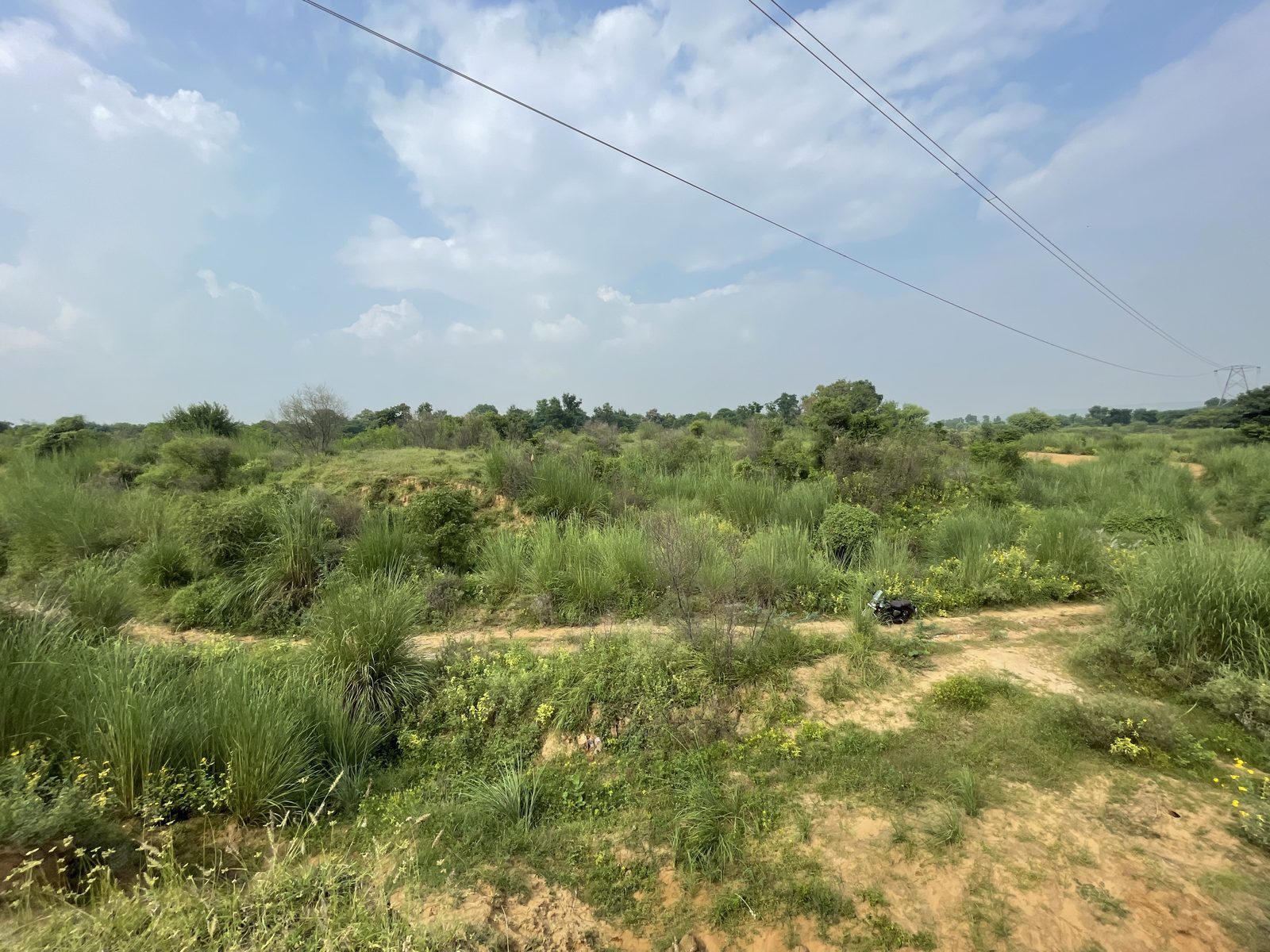 Scrub, kans grass and bare patches under a wide sky, a power line crossing above