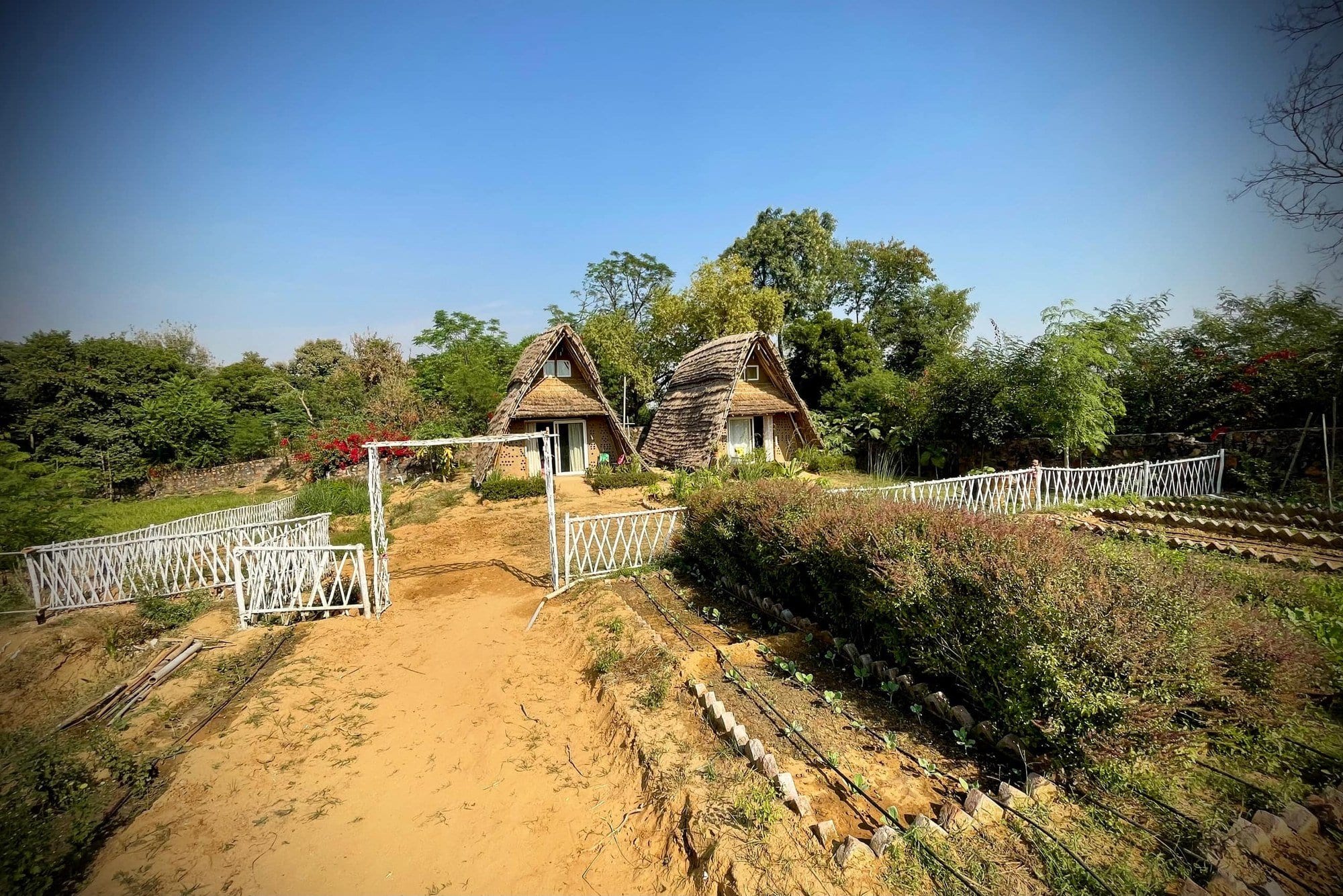 Two thatched mud houses on a rise, a sand track climbing between planted beds