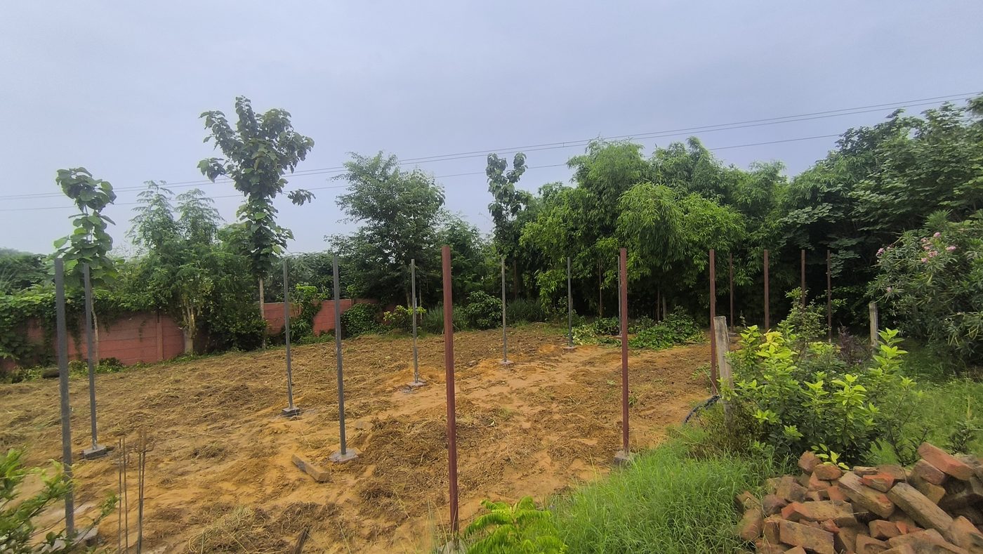 Rows of steel poles set upright in bare wet earth, boundary wall and trees behind