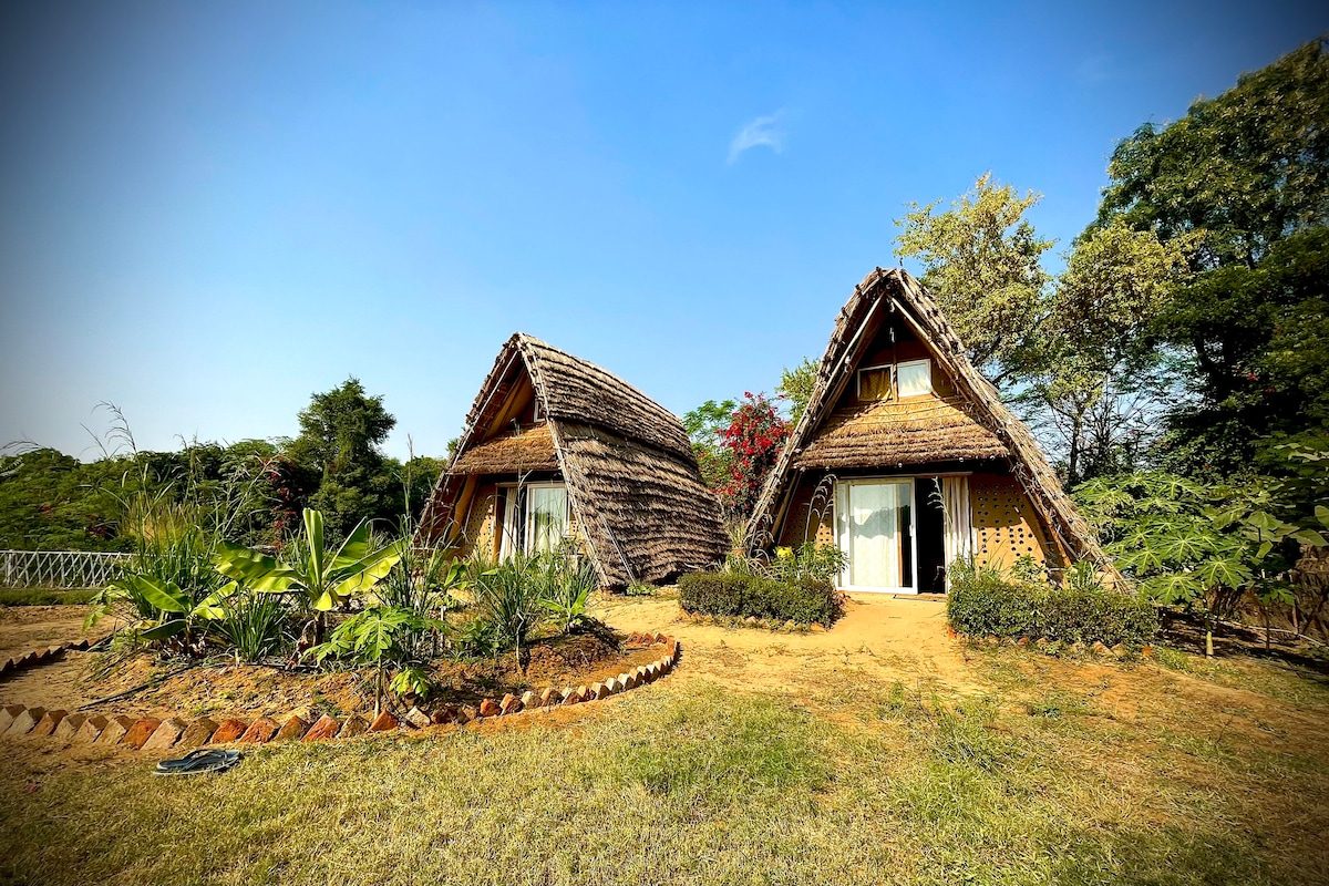 The two thatched A-frame houses by day, standing in mown grass with planting around them and trees behind
